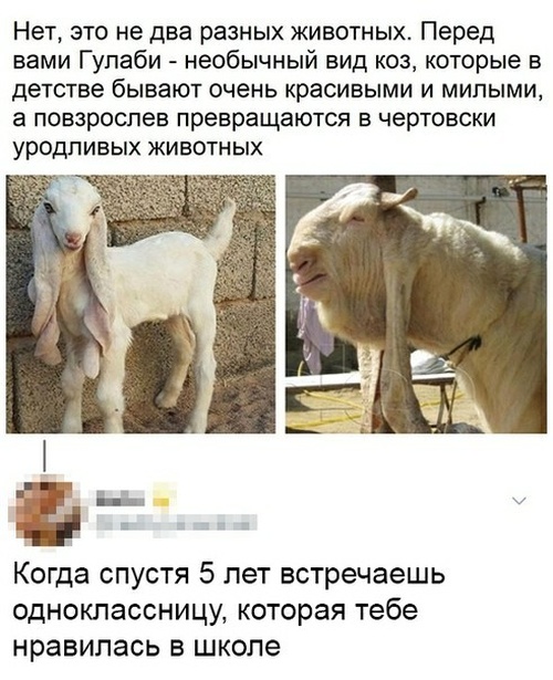 Немного картинок на вечер