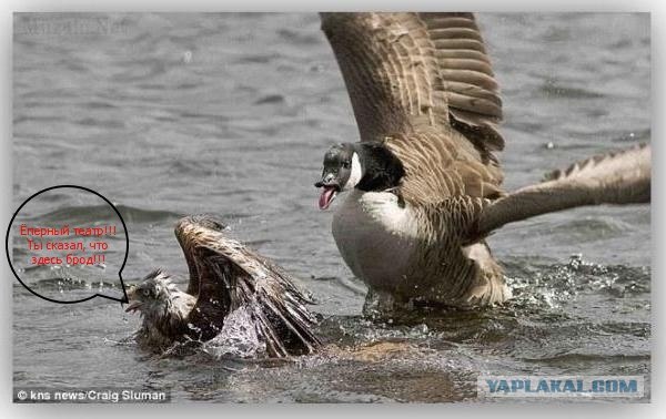 Не на того напал!