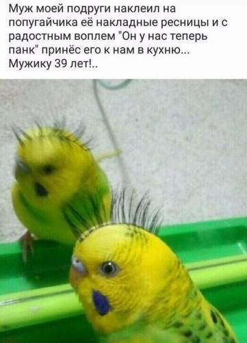 Что выберешь ты?