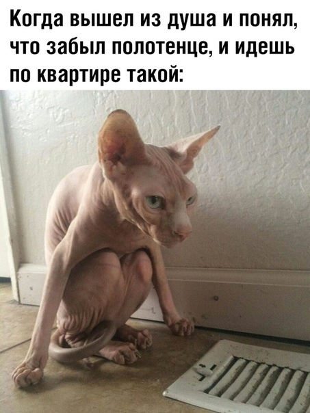 Картинки на воскресный день