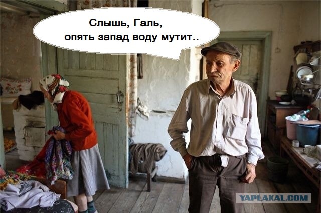 Всего 10 км от Москвы - и уже реально страшно: СМИ нашли в Подмосковье "параллельный мир"