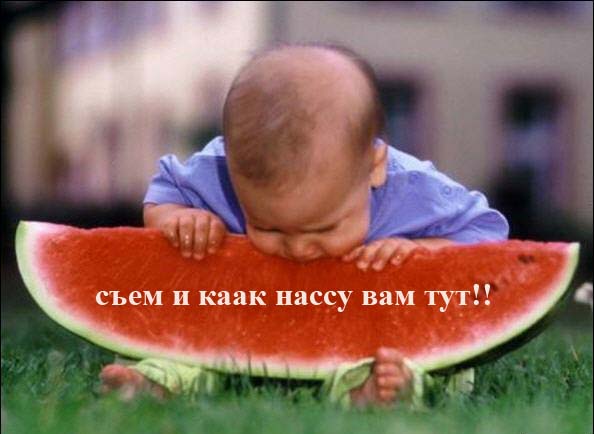 Простое человеческое счастье в картинках