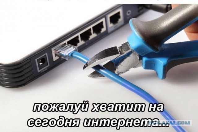 Бабсятина