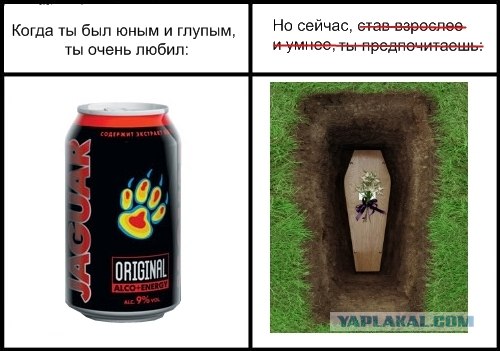 Фотожаба: Когда я был юным и глупым