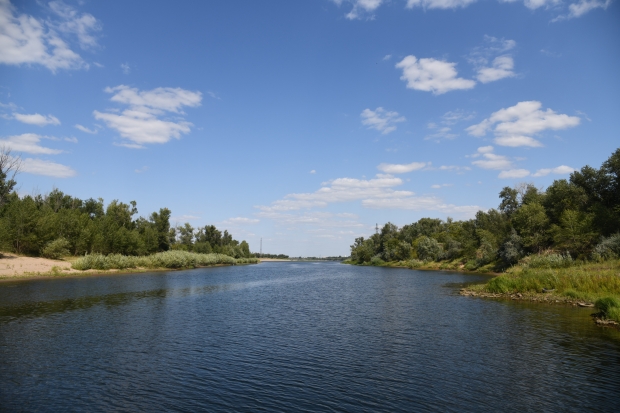 Экологическая катастрофа на водохранилищe Аршань-Зельмень в Калмыкии
