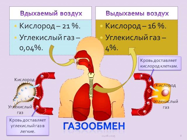 Доказательная база о вреде ношения масок