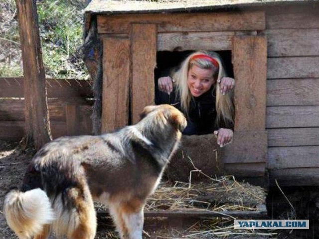 Фотожаба: Собака с Девушкой