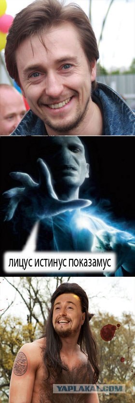 Ярость Волан-де-Морта