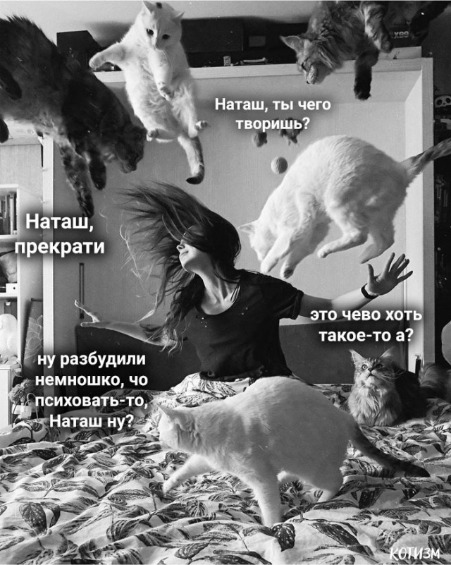 Весёлый полтишок 26.02