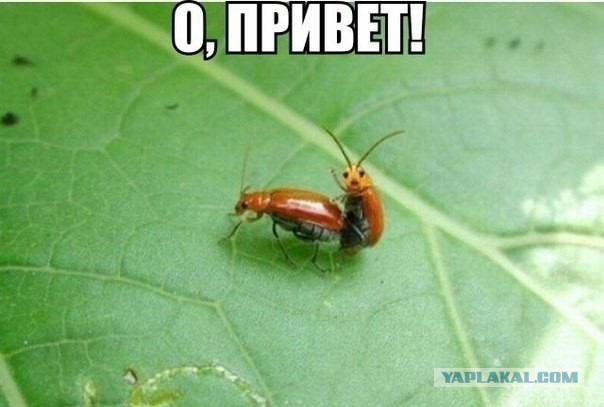 Картинки и мемы для настроения 05.03.2021