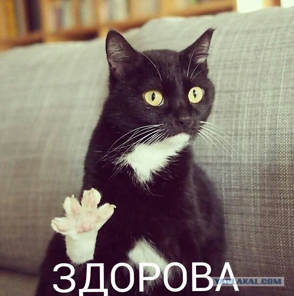Теперь бл@ть побазарим с тобой н...й