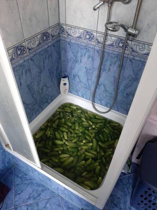 Картинки на вчера