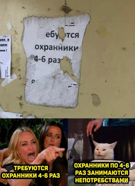 Так себе картинки 11.08.21