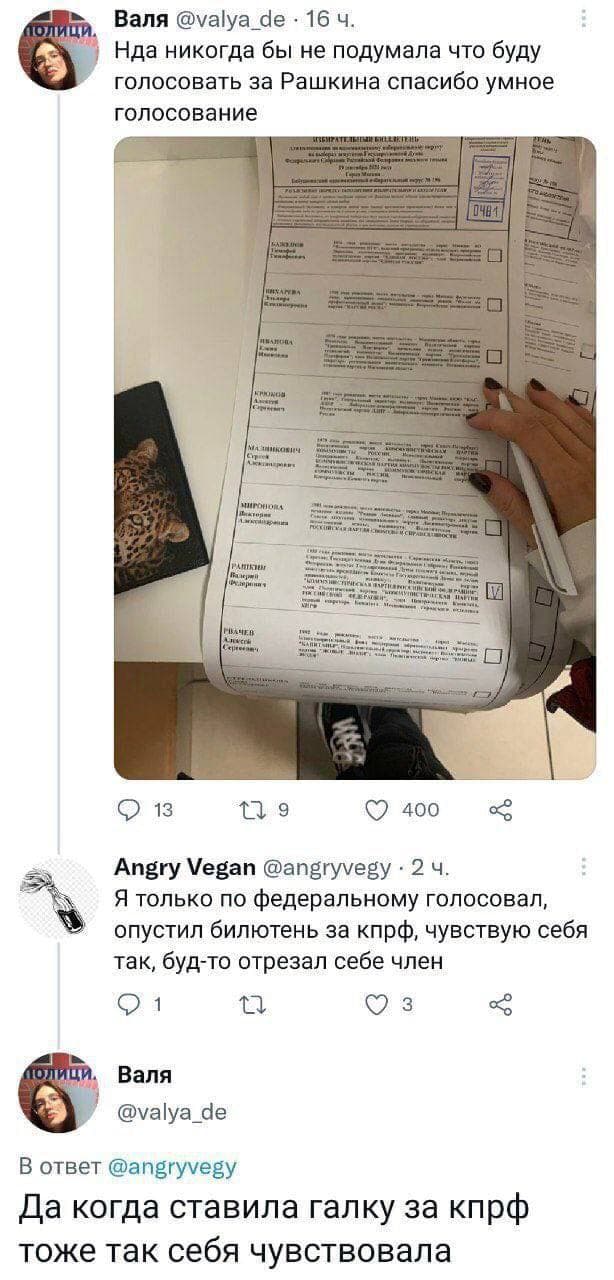 Моя работа на выборах 2021 и выводы
