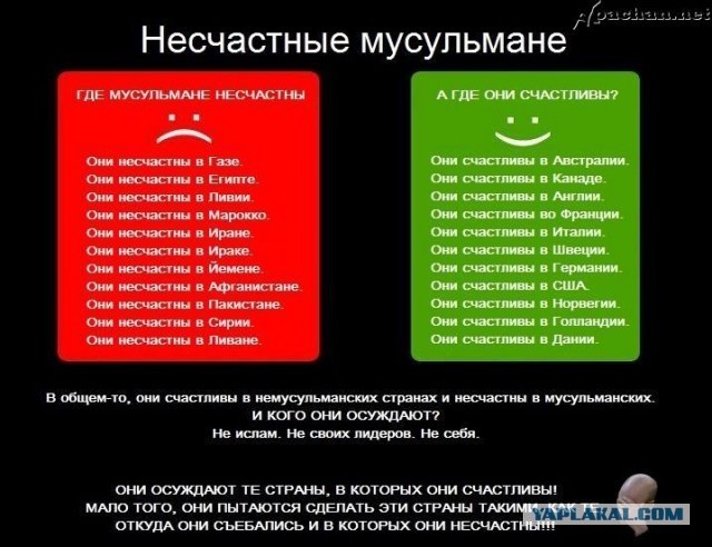 Избитого толпой в Новой Москве отца с ребенком «делают» зачинщиком драки