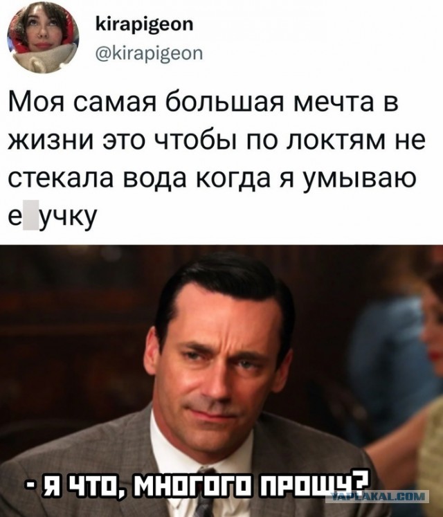 Весёлый полтишок 20.01