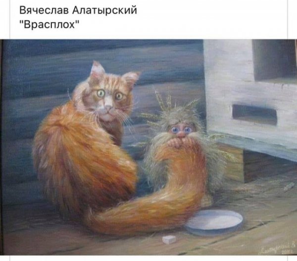 Прикольные и просто красивые картинки 31.01.2022