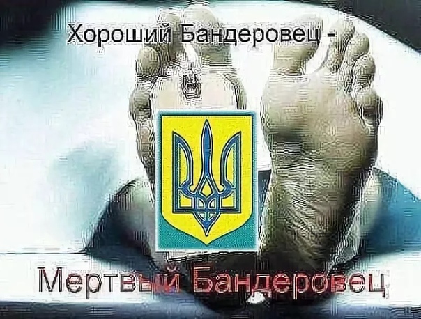 Азов просит деблокады любой ценой