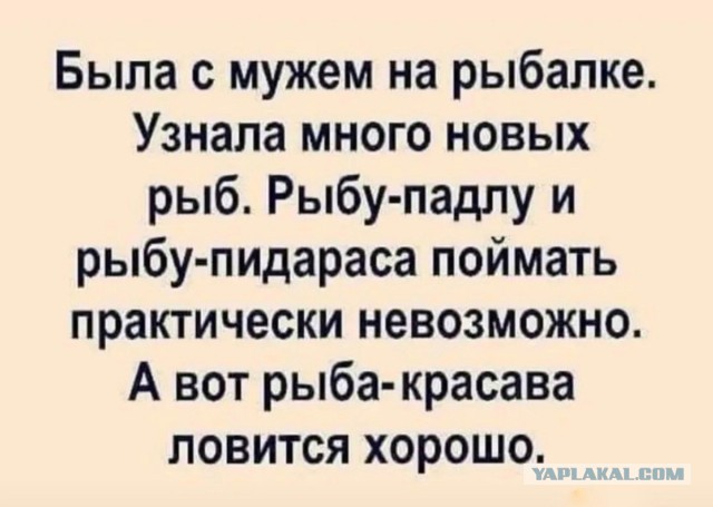 Картинки и мемы для настроения  - 31