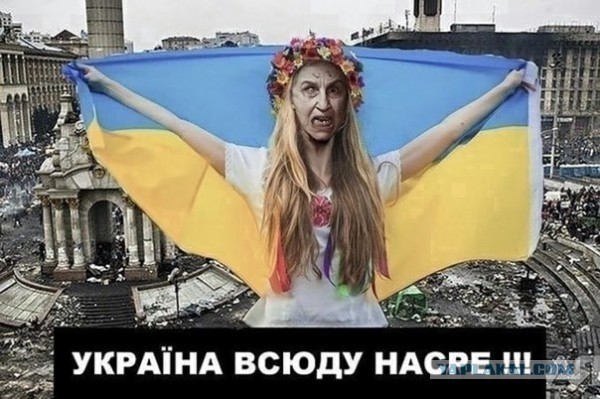 Вчера на улице Драгомирова в Киеве активистка вдребезги разнесла салон красоты, работающий в военное время.