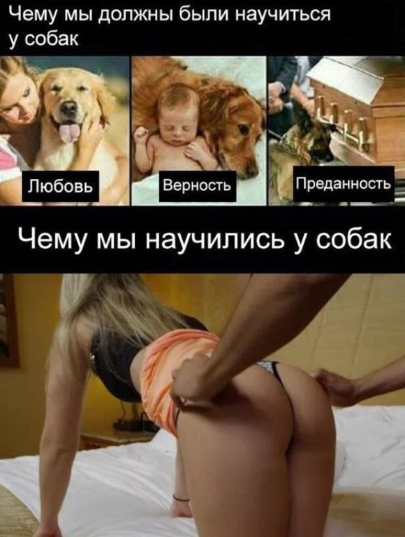 Немного мемчиков. Для взрослых 18+. Часть 6