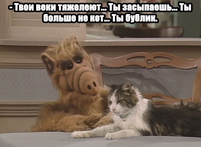 Актёры сериала Альф. Тогда и сейчас