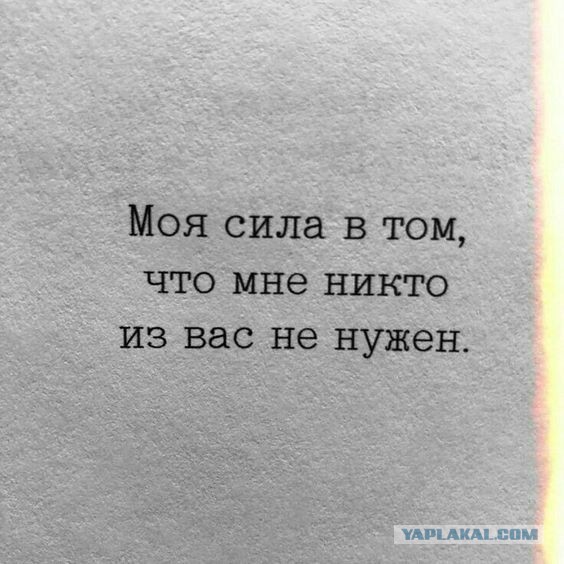 Ужин холостяка