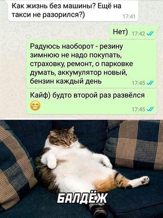 Немного картинок для настроения - 161