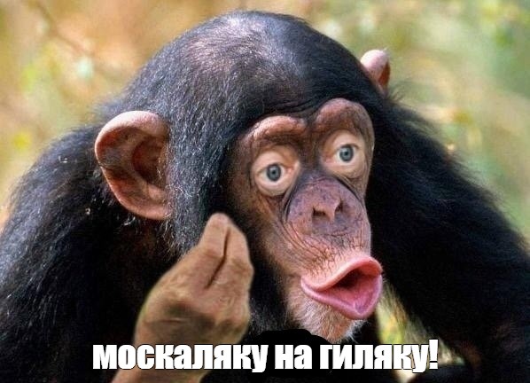 ВСУ обстреляли территорию у собора в Донецке, где шла пасхальная служба