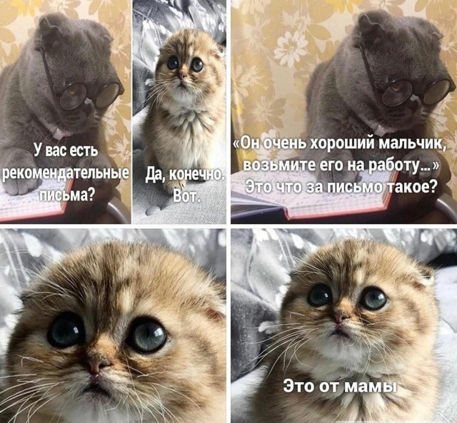 "Далеко" пойдёт будущий программист