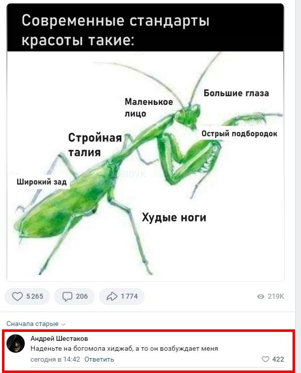 Нуштош 15.12.2023