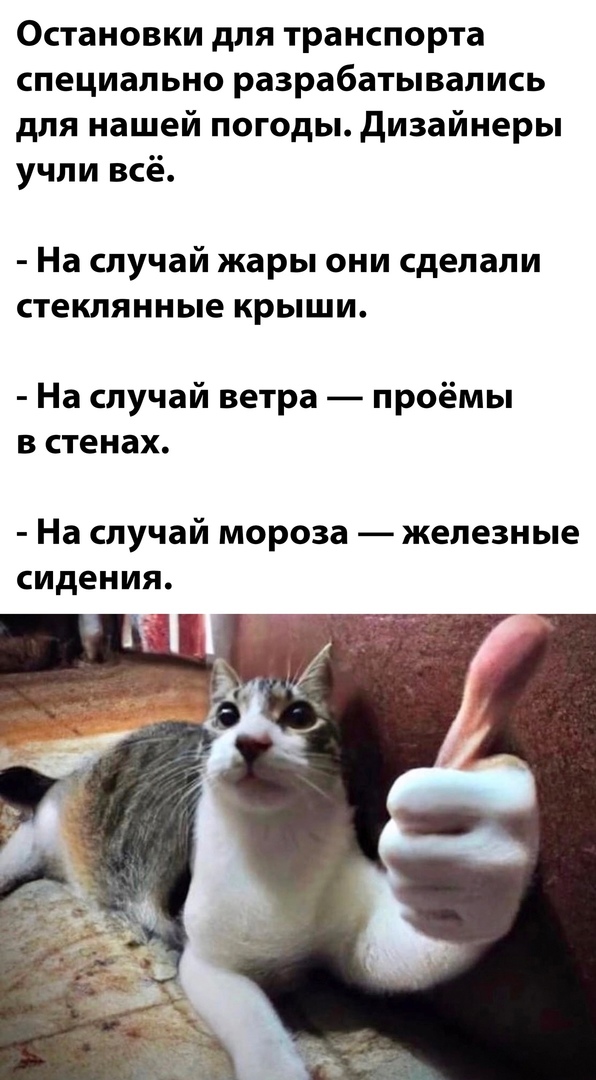 Так себе картинки 20.01.24