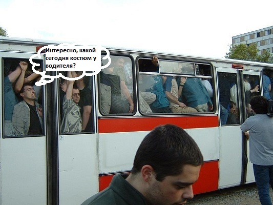 Водитель автобуса