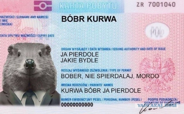 Кемеровский романтик, прискакавший в квартиру к жене на белом коне, отправлен под арест — его арестовали на одни сутки за мелкое хулиганство