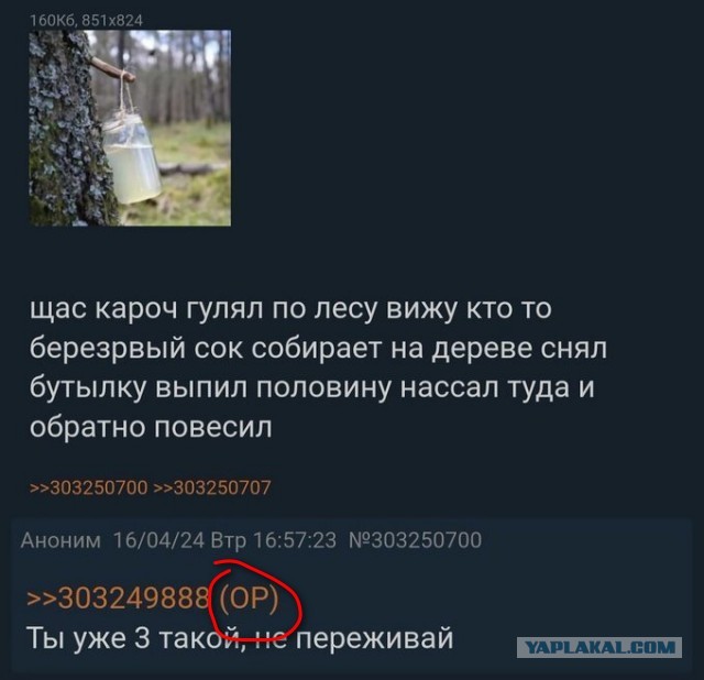 Почти /b/ерезовый сок