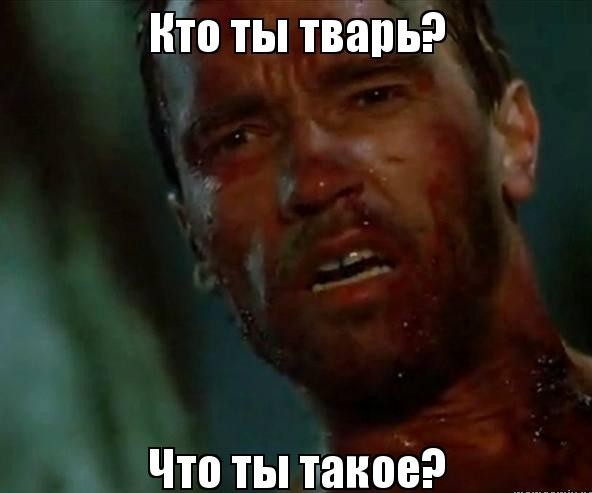 Утконос