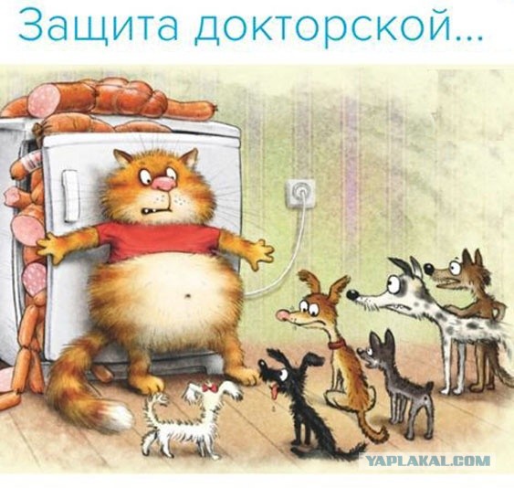 Так себе картинки 24.06.24