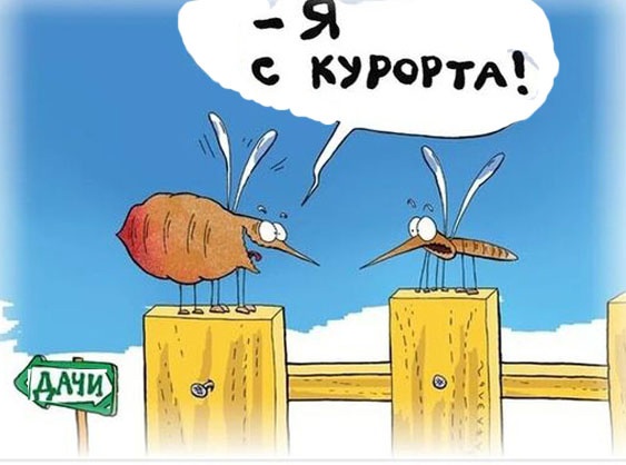 Так себе картинки 20.07.24