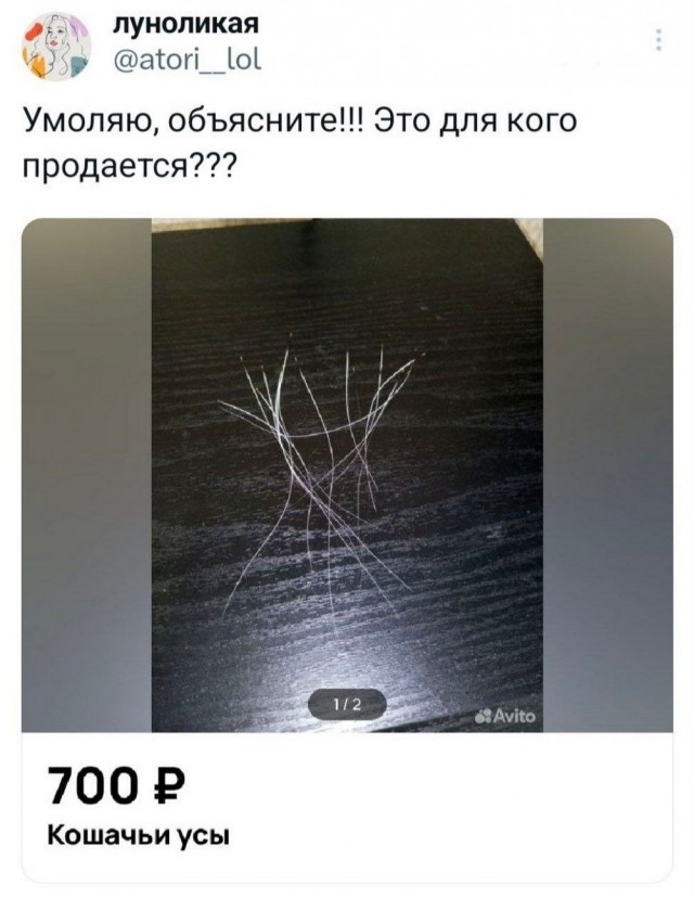 Картинки разные с надписями и без