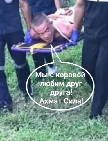В Таиланде молодой россиянин пытался изнасиловать корову, но она его забодала