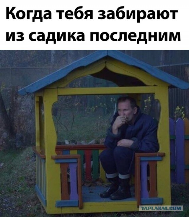 Весёлый полтишок 27.09.24