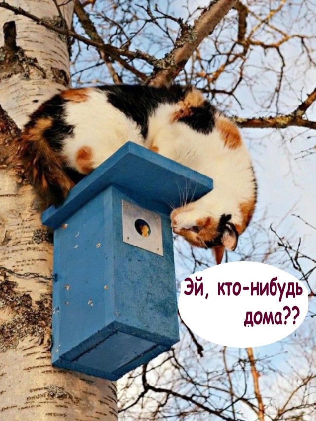 Так себе картинки 27.09.24
