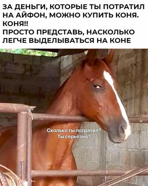 Так себе картинки 03.10.24