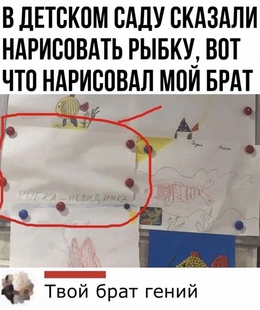 Прикольные и просто красивые картинки