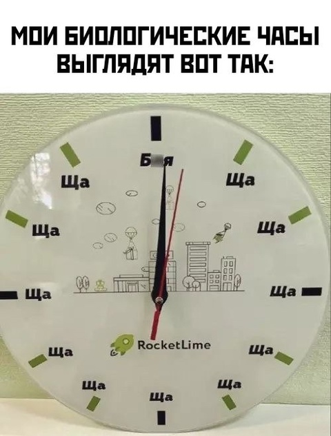 Весёлый полтишок 19.12.24