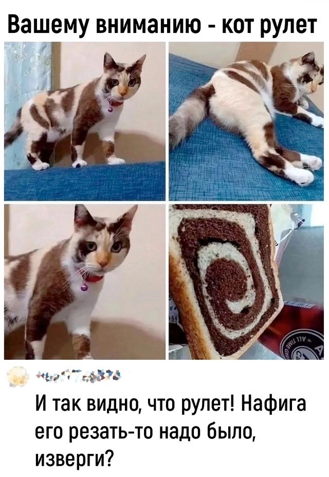 Весёлые картинки