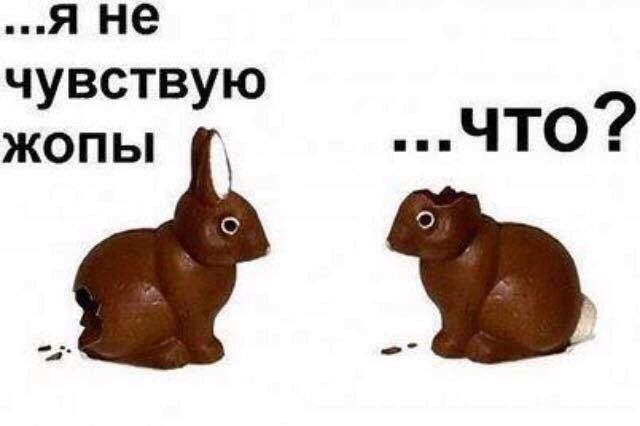 Минутка деградации