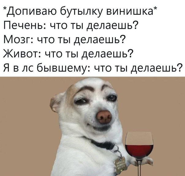 ТРРРидцать тРРРи от 22 мая