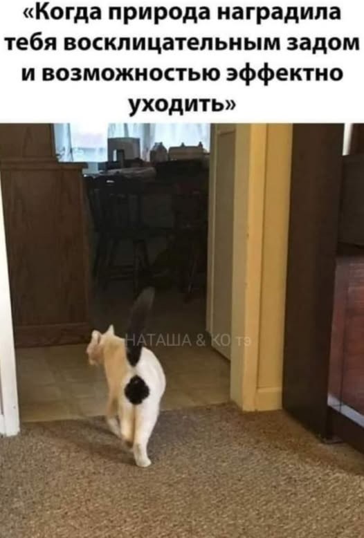 Понедельника картинки