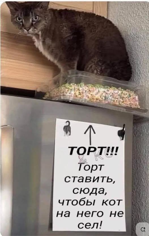 Картиночки, баянчики 27 декабря
